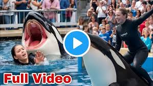 SAD: 23 Years Old Jessica Radcliffe, the Orca ( Titan) Trainer Death was Triggered by Menstrual Blood During her Live Performance