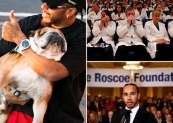BREAKING: Lewis Hamilton Welcomes a New Four-Legged Friend After An Emotional Heartfelt Goodbye to Roscoe Who Died As A Result Of….