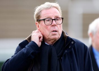 JUST IN: Harry Redknapp names one January signing West Ham ‘need’ as he drops Malick Diouf verdict9