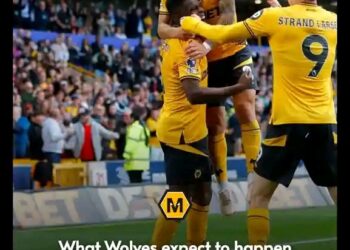 EXPECTATIONS: What Wolves expect to happen with Joao Gomès and Jargen Strand Larsen if Wolves gets relegated