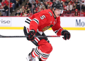 Good news – Red Wings Trade Pitch Lands $17.6 Million Big Defender