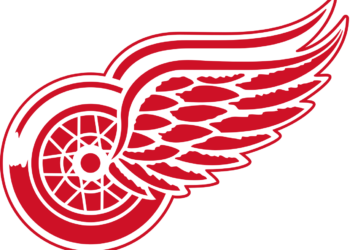 Breaking news – Red Wings reportedly have offer on table for 6-8 defenseman.