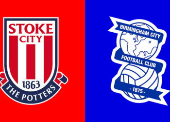 World Class: Stoke City’s £3.5 million deal with Birmingham City still stands as a brilliant piece of business