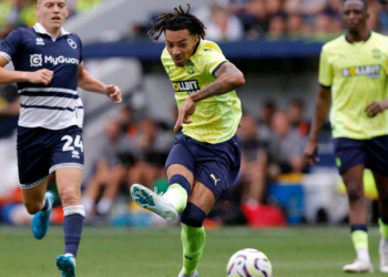 Millwall must launch Southampton transfer bid to fix Alex Neil issue .
