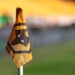 He will be missed – Italian giants plan to seize Wolves star with huge bid – Time to change home